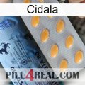 Cidala 44